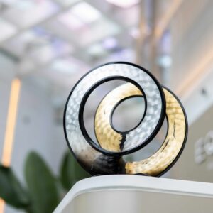 Sculpture Eclipse