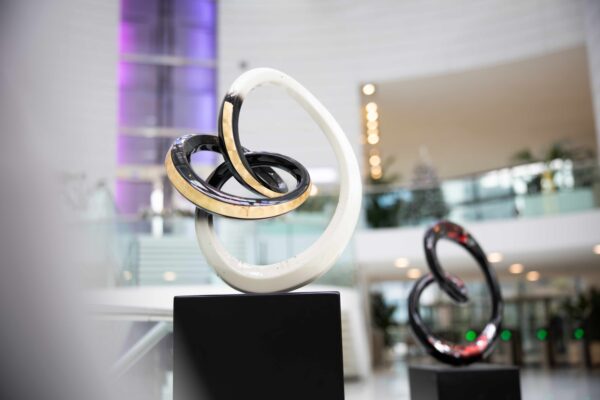 Sculpture Enlacement