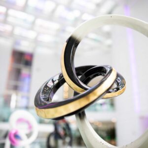 Sculpture Enlacement