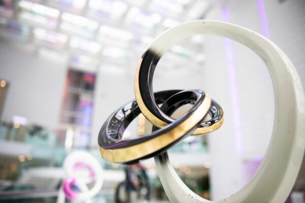 Sculpture Enlacement