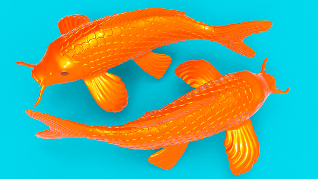 carpes Koi #3D #carpekoi #carpes