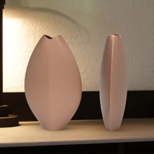 Vase poisson