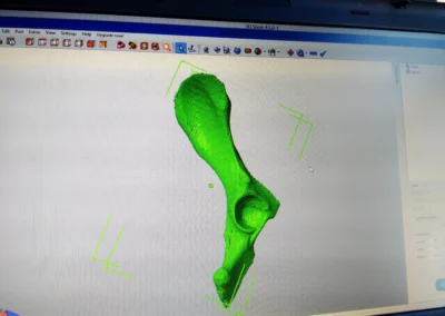 impression 3d vétérinaire