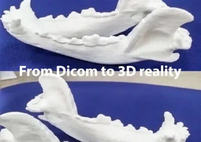 impression vétérinaire